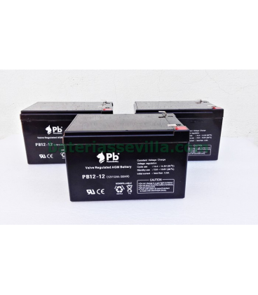 Baterias Patinente electrico AGM 12v 12Ah PB12-12 sevilla
