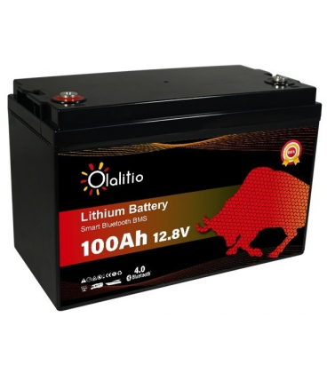 Bateria litio LiFePO4 12v 1.280W 100Ah Olalitio autocaravana caravana barco solar baterias sevilla